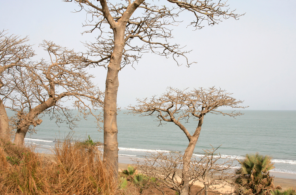 Gambia